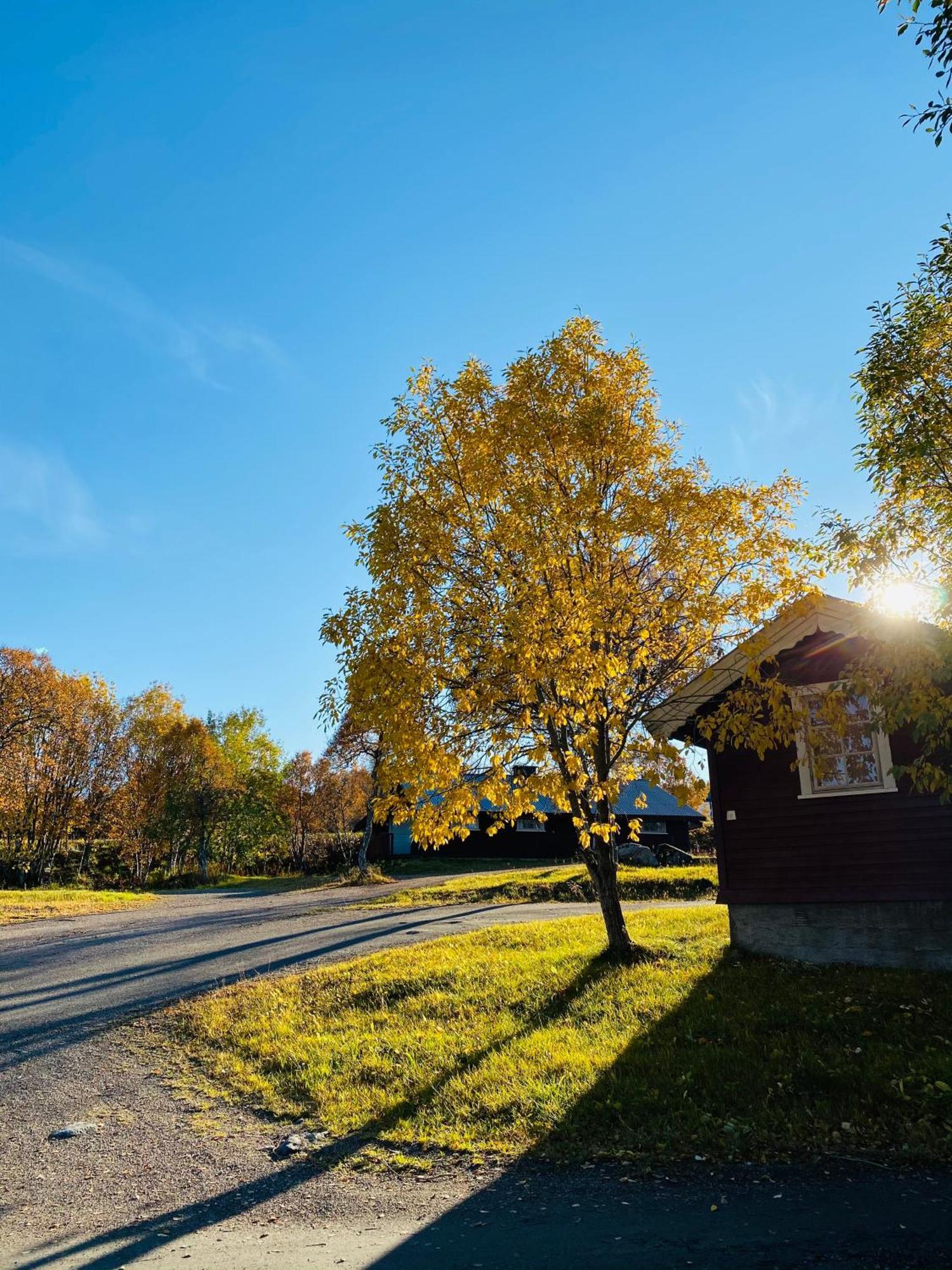 Sortland Camping Og Motell As 외부 사진