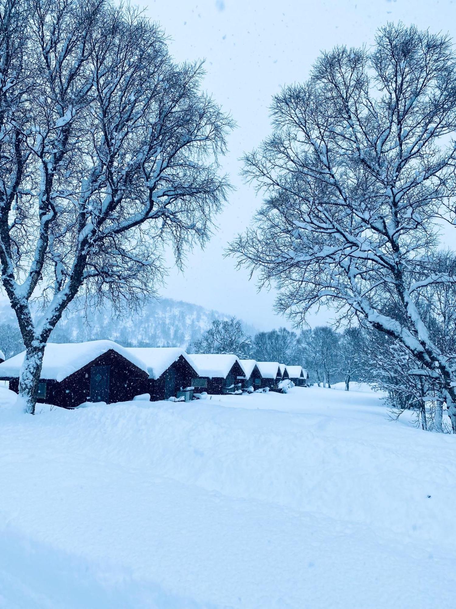 Sortland Camping Og Motell As 외부 사진